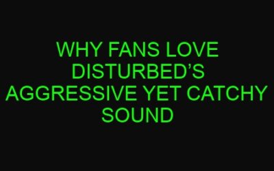 Why Fans Love Disturbed’s Aggressive Yet Catchy Sound