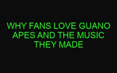 Why Fans Love Guano Apes and the Music They Made