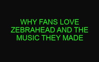 Why Fans Love Zebrahead and the Music They Made