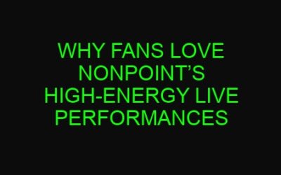 Why Fans Love Nonpoint’s High-Energy Live Performances